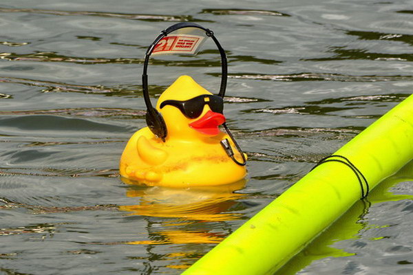 Maschseefest2014   691.jpg
